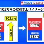 「税は国家なり」自民・公明の“税制改正大綱” きょう（20日）決定へ　年収の壁「123万円」までの引き上げ盛り込む｜TBS NEWS DIG