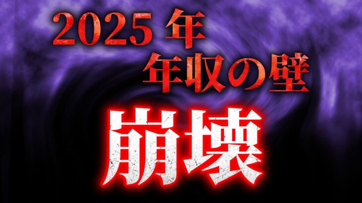 2025年・年収の壁★税金と社会保険料