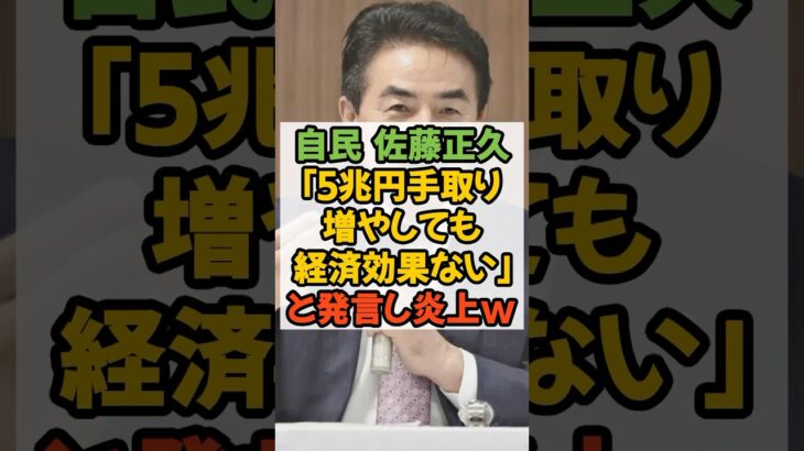 自民党 佐藤正久 「5兆円手取り増やしても経済効果ない」と発言し 炎上 #自民党 #基礎控除 #税金 #国民民主党 #減税