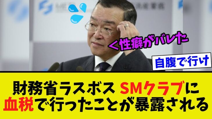 【衝撃】財務省宮沢洋一が税金でSMクラブで行ったことが暴露される逝く