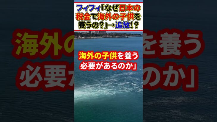 フィフィ「なぜ日本の税金で海外の子供を養うの？」→ ミヤネ屋から追放！？　#shorts