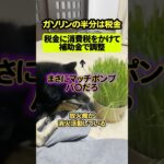 【激怒】ガソリンの半分は税金←「それに補助金ってバ○じゃね？」【日本/政治/自民党/トリガー条項/多重課税/値上げ】#shorts