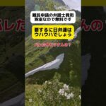 【日弁連】難民申請の弁護士費用は税金なので無料です… #shorts