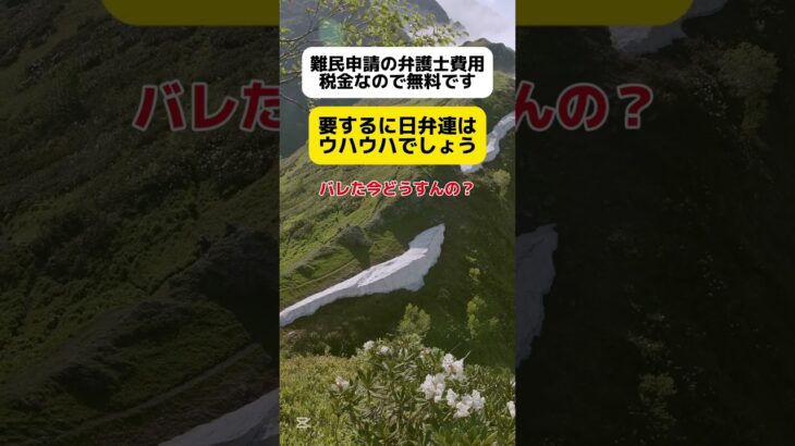 【日弁連】難民申請の弁護士費用は税金なので無料です… #shorts