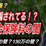 結局どうなる？どうすればよい？税金の壁と社会保険料の壁