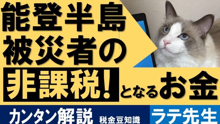 被災者のための｢非課税！｣カンタン税金豆知識/猫好き税理士