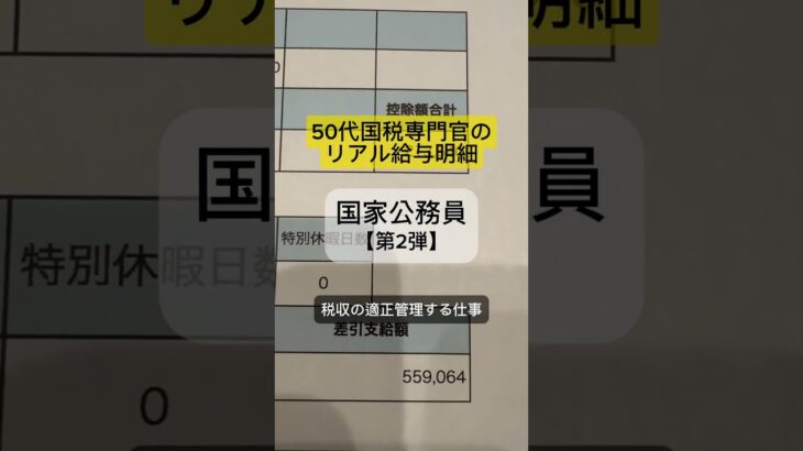 税金を扱うプロ！国税専門官のリアルな給与公開