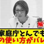 【衝撃】子供家庭庁とんでもない「税金の使い方がバレる」