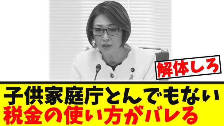 【衝撃】子供家庭庁とんでもない「税金の使い方がバレる」