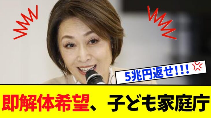 これ以上税金の無駄使いは止めてくれ！「即解体希望、子ども家庭庁」に対する国民の反応【政治/ニュース/政治ニュース】