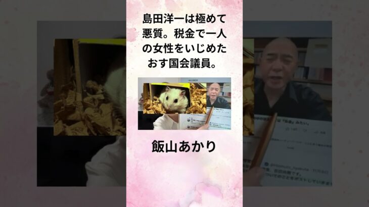 飯山あかり 島田洋一は極めて悪質。税金で一人の女性をいじめたおす国会議員。