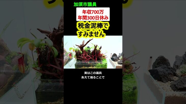 議員「税金泥棒ですみません」 自虐風自慢が話題に【政治ニュース】