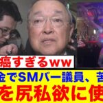 【衝撃】宮沢税調会長釈然としないw→「税金でSMバー行く方が釈然としないんだがww」