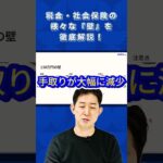 【年収の壁】税金・社会保障の壁を徹底解説します！#税金 #節税 #103万の壁  #国民民主党 #玉木雄一郎