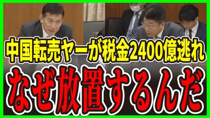 【衝撃の暴露】年間2,400億円の税金が消失！中国人バイヤー690人が悪用する免税特権の闇…国会の追及で判明！9割が商品持ち逃げ【政治をもっと伝えたい】