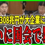 【緊急暴露】財務省が隠蔽した衝撃の真実！消費税477兆円の65%が大企業優遇に消える！33年間で308兆円の税金流用の闇【政治をもっと伝えたい】