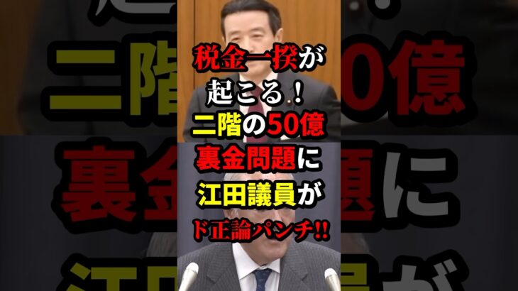 税金一揆が起こる！二階の50億円裏金問題に江田議員がド正論パンチ‼︎ #江田憲司 #政治 #海外の反応 #wcjp