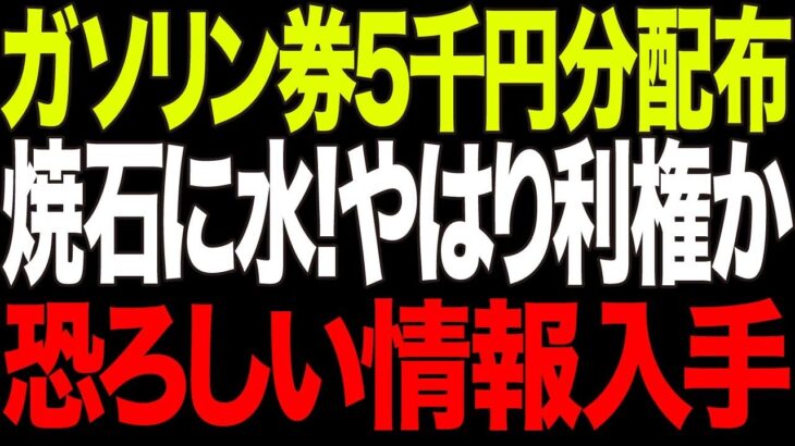 【マジ危険】長野県の怪しすぎるガソリン券💢 税金を食い物にする中抜きの実態？【政治AI解説・口コミ】