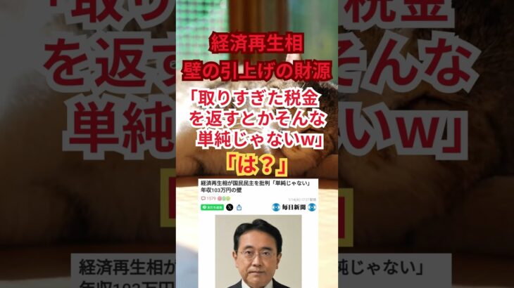 経済再生相「取りすぎた税金を返すとかそんな単純じゃないｗ」 #shorts #税収増 #財源問題