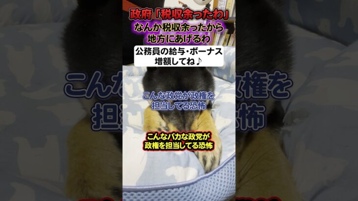 【激怒】政府「税金余ったので○兆円を地方にあげるわ。公務員の給料増額に使ってね」←国民「は？」【与党/政治/自民党/予算】#shorts