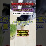 【なんで？】日本国民「税金と物価が高すぎてとにかく大変！」→政府「夫婦別姓に時間が無くて大変」#shorts