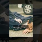 税金を徴収することに何の意味があるのか？ #映画 #shorts #movie