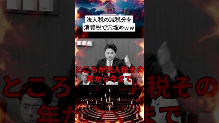 【ふざけんな】消費税を法人税の減税分の原資にすんな（れいわ新選組 高井崇志議員）