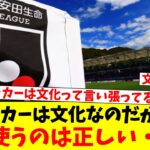 サッカーは文化なのだから…税金使うのは正しい・・・