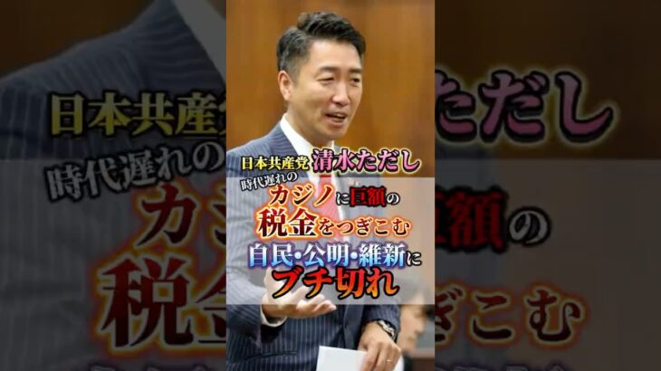 利権まみれのカジノに巨額の税金をつぎこむ自民･公明･維新にブチ切れ  #清水ただし #日本共産党 #国会 #政治 #利権 #消費税廃止 #復興