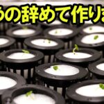 税金もガソリンも高いので今年から自分で作ります。