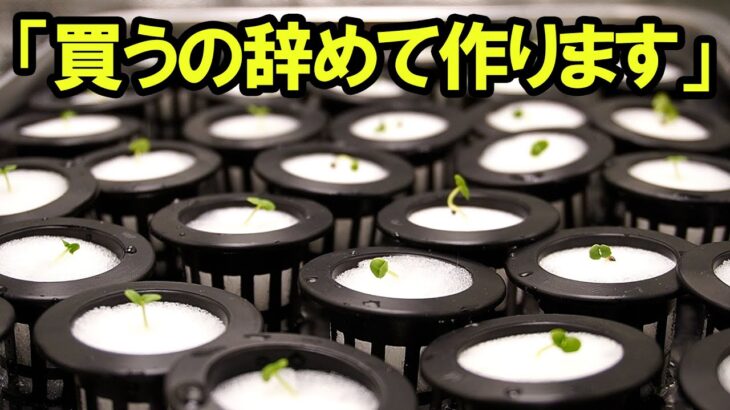 税金もガソリンも高いので今年から自分で作ります。