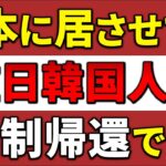 【海外の反応】「なぜ日本人の税金を使うんだ！」在日韓国人の生活保護不正受給が発覚！強制送還命令の衝撃的真相とは？