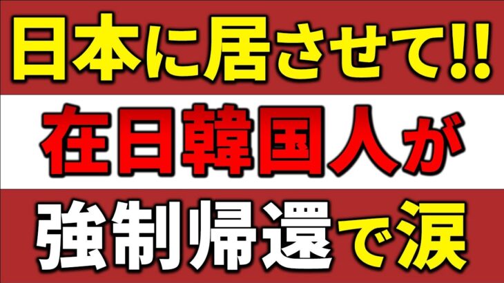 【海外の反応】「なぜ日本人の税金を使うんだ！」在日韓国人の生活保護不正受給が発覚！強制送還命令の衝撃的真相とは？