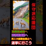 【日本の減税】0074 減税が国民を救う、消費税減税、所得税減税、再エネ賦課金廃止、選挙に行こう、あなたの未来を変えよう