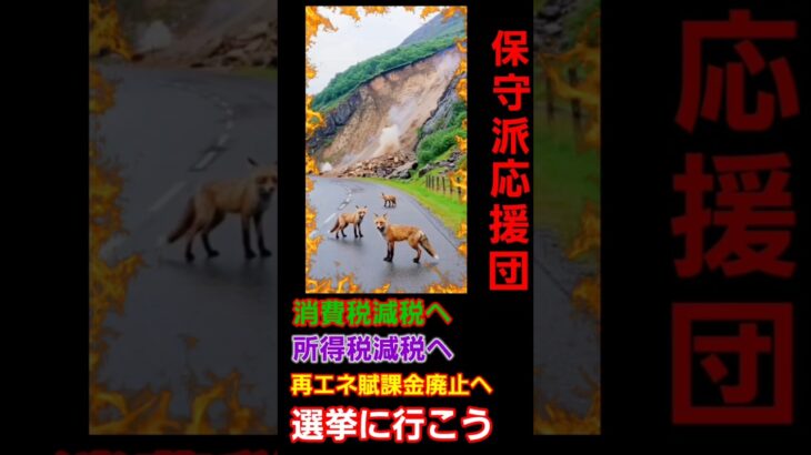 【日本の減税】0074 減税が国民を救う、消費税減税、所得税減税、再エネ賦課金廃止、選挙に行こう、あなたの未来を変えよう