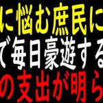 【悲報】米が高くて買えない庶民に対し税金で1日100万も飲食する議員→遂に国民の怒りが爆発へ【政治解説・国民の反応】