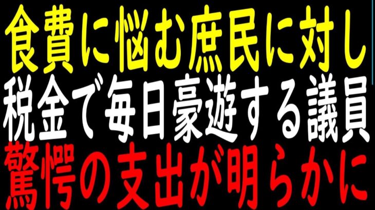 【悲報】米が高くて買えない庶民に対し税金で1日100万も飲食する議員→遂に国民の怒りが爆発へ【政治解説・国民の反応】