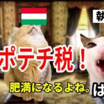 【日本では考えられない】海外の面白い税金3選#猫マニ #猫ミーム