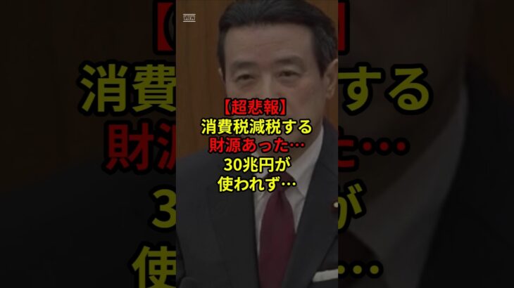 消費税を減税する財源あった…30兆円が使われず #政治