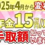 【令和7年4月から】年金15万円/月の驚きの手取り額!?税金でこんなにも天引きされるの？年金支給額180万円/年もらえる人の手取額を分かりやすく解説【所得税・住民税・国民健康保険料・介護保険料】