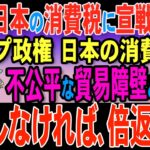 【拡散希望】消費税終了！アメリカが日本の消費税制度に宣戦布告！衝撃の真実　消費税をぶっ壊す【ずんだもん解説】【SNSまとめ】