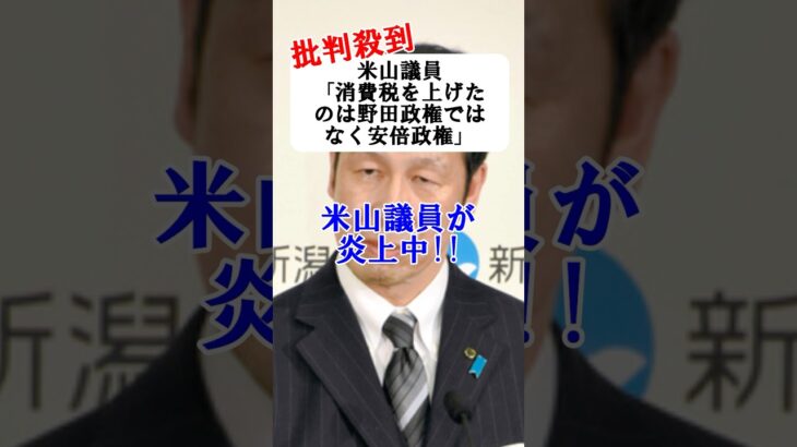 【大炎上】米山議員「消費税が上がったのは野田政権ではなく、安倍政権です」発言に批判殺到#Shorts #ずんだもん #消費税 #政治 #ニュース