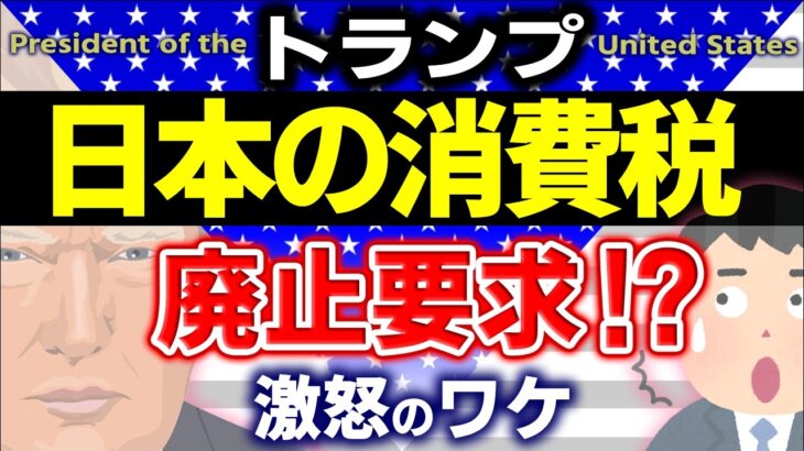 【緊急解説】ﾄﾗﾝﾌﾟ､消費税廃止を要求!?財務省どうする？消費税は関税より酷い?ワケ【還付金･輸出免税･補助金/日本･海外の税制/アメリカ大統領･小売売上税/欧州･VAT付加価値税/わかりやすく】