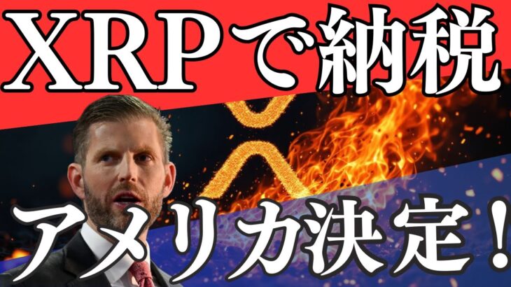 XRPが税金支払い手段に！未来を変える決定