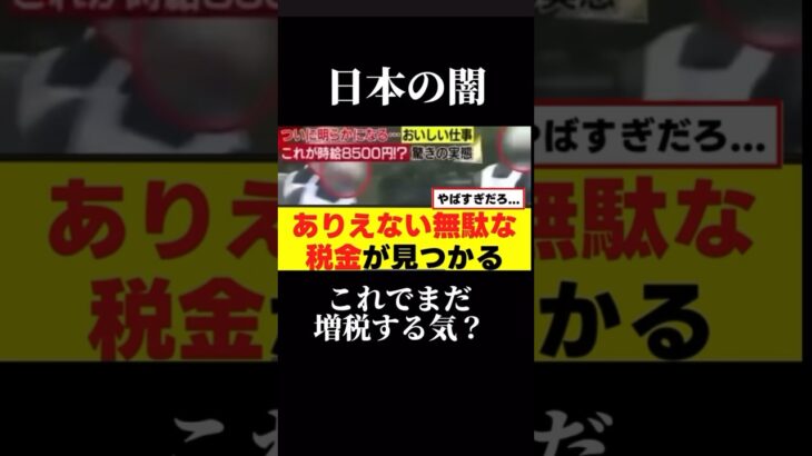 【終わってる】クソすぎる税金の使い道が見つかる【みんなの反応集】#政治 #税金 #まとめ #shorts