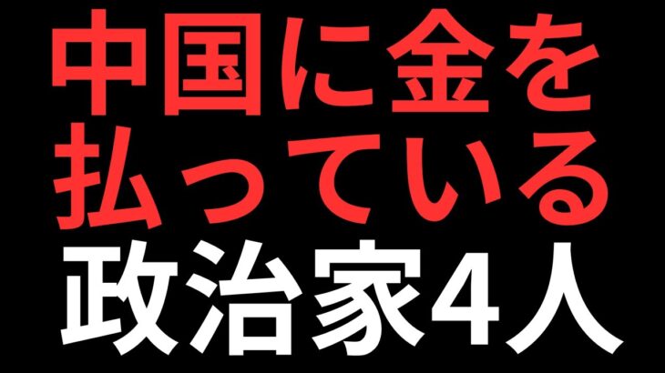 【ヤバい】日本の税金が中国に流れました【スパイが続々と】