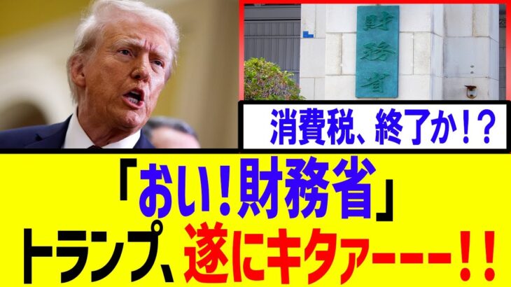 【衝撃】激ヤバ！！トランプ大統領　日本の消費税に・・・【石破内閣　　自民党】