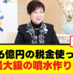 【税金】東京都が税金を使って無駄なものを作ろうとしている模様