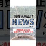 [消費税廃止!?]なぜ消費税廃止の話題が出てきたのか #消費税廃止にして日本経済再生 #消費税 #廃止 #アメリカ #税金