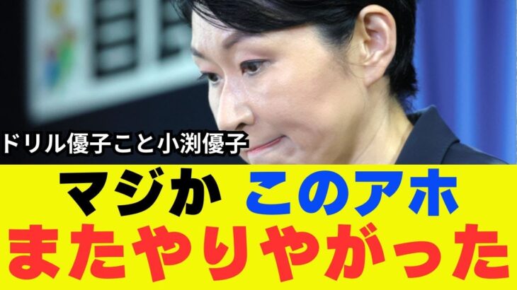 【悲報】小渕(ドリル)優子が国民の税金をとんでもないことに垂れ流してたぞ【政治 ネットの反応】